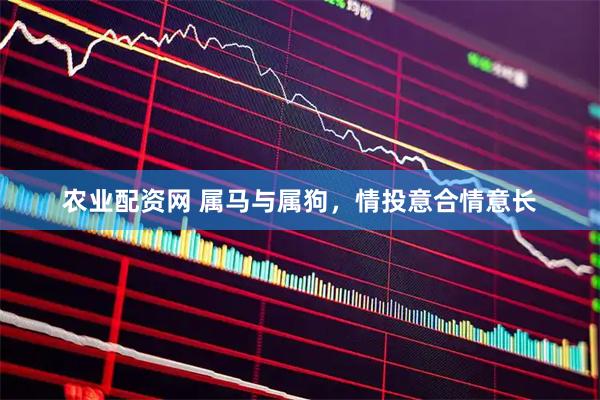 农业配资网 属马与属狗，情投意合情意长
